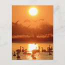 Recherche de paysage romantique cartes postales Lac
