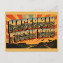 Recherche de fossile cartes postales Vintage