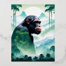 Recherche de chimpanzé cartes postales Faune