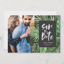 Recherche de feuille photographie Pour eux