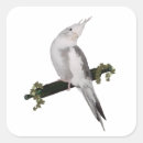 Recherche de ivy autocollants Nature