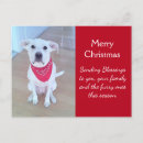 Zoek naar blikken briefkaarten Schattig