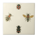 Zoek naar vlieg tegels Natuur