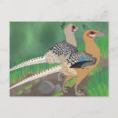 Recherche de dinosaur cartes postales Rapace