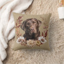 Zoek naar labrador retriever kussens Chocoladelab