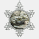 Zoek naar draken ornamenten Hagedis