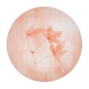 Recherche de érable planches à découper Feuillage