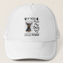 Recherche de corgi accessoires Race de chien