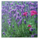 Recherche de roman carreaux Dehors