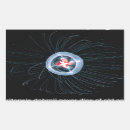 Zoek naar kwallen stickers Vis