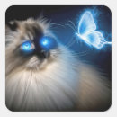 Zoek naar ragdoll kat stickers Feliene