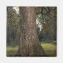 Zoek naar boomstam magneten Tree