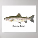 Zoek naar vissers posters Oceanen