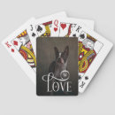 Recherche de chiens jeux de cartes Animaux domestiques