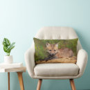 Zoek naar rode vos kussens Dier