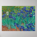 Recherche de iris van gogh posters Vincent