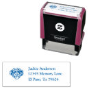 Recherche de chien d eau portugais Race de chien