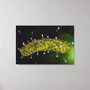 Recherche de biologie cellulaire posters Plan rapproché