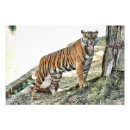 Recherche de fâché posters Animal