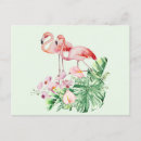 Zoek naar tropical flowers briefkaarten Flamingo