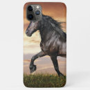 Zoek naar zwarte paarden iphone hoesjes Zwart paard
