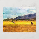 Recherche de girafe vintage cartes postales Afrique