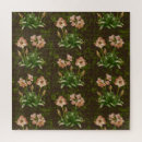 Recherche de amaryllis puzzles Vert