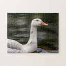 Recherche de oies puzzles Animal