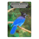 Recherche de original porte blocs Oiseau