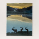 Recherche de elk puzzles Lac