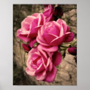 Zoek naar pirouette posters Roze