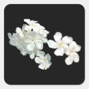 Zoek naar bloesems stickers Tuin