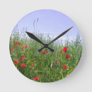 Recherche de pavots horloges Nature