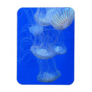 Recherche de aquatique magnets Bleu