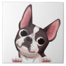 Recherche de races carreaux Canine