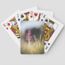 Recherche de orchidée jeux de cartes Floral