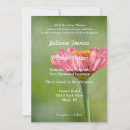 Recherche de zinnia rose Abstrait