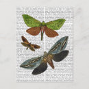 Recherche de butterfly cartes postales Animals
