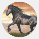 Recherche de beau cheval autocollants Chevaux