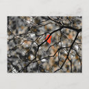 Recherche de arbres abstraits cartes postales Botanique
