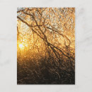 Recherche de glaçon photographie Glaçons