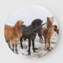 Recherche de colt horloges Animal