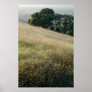 Zoek naar wilde bloemen posters Bergen