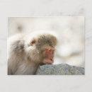 Recherche de préfectures cartes postales Scène rurale