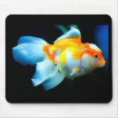 Zoek naar goldfish muismatten Zwemmen