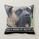 Zoek naar mastiff kussens Huisdieren