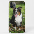 Recherche de chien de berger australien iphone coques Berger américain miniature