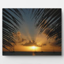 Recherche de palmier plaques Nature