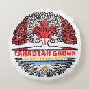 Recherche de argentine coussins Drapeau de l'argentine