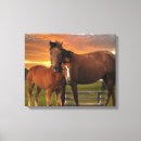 Recherche de poney impressions sur toile Chevaux